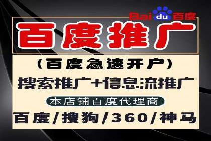 百度SEM推广案例解析：成功秘诀大公开